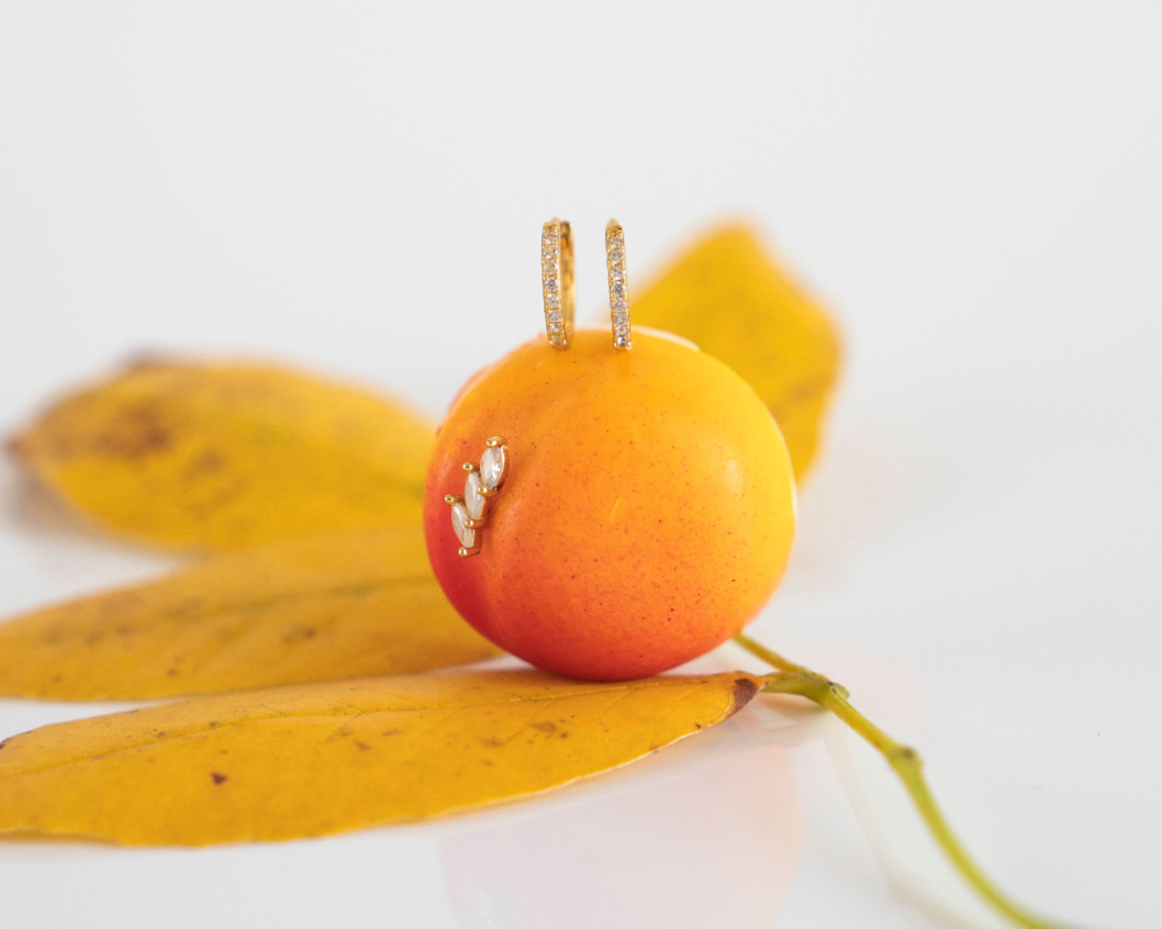 Regala Brillo, Regala Recuerdos