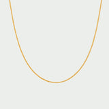 Collar Liso - COLARES - DAANA